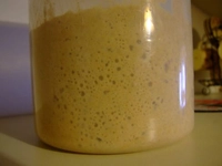 Nohut Mayası Tarifi ve Malzemeleri